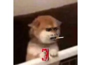 无限流量卡真能敞开用？滑天下之大稽！