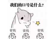 怎样用流量最省钱，这种搭配方式不妨了解以下！