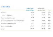 中国移动2024上半年净利润802亿元，同比增长5.3%