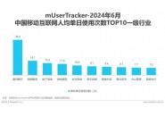 2024H1中国移动互联网流量半年报告：人均单日使用271.2分钟