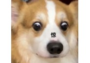 终于把套餐改成8元最低档了，保姆级教程来了！