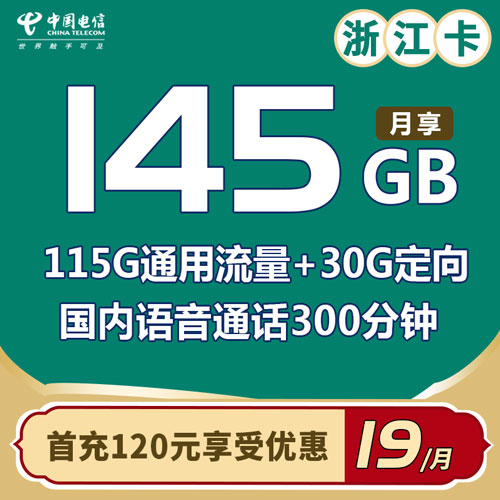 电信浙江卡 19元包115G通用+30G定向+300分钟（仅发浙江）