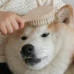 流量卡官方直营